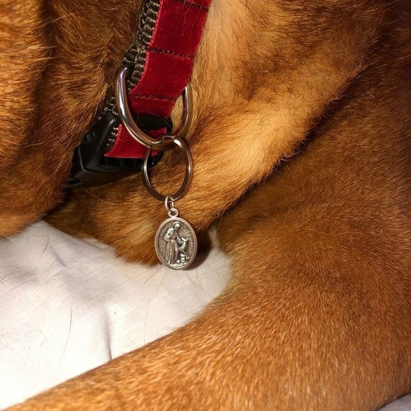 ST FRANCIS TAG MEDAL WITH STERLING NECKLACE & CARDS PET CHARITY - Picture 4 of 15